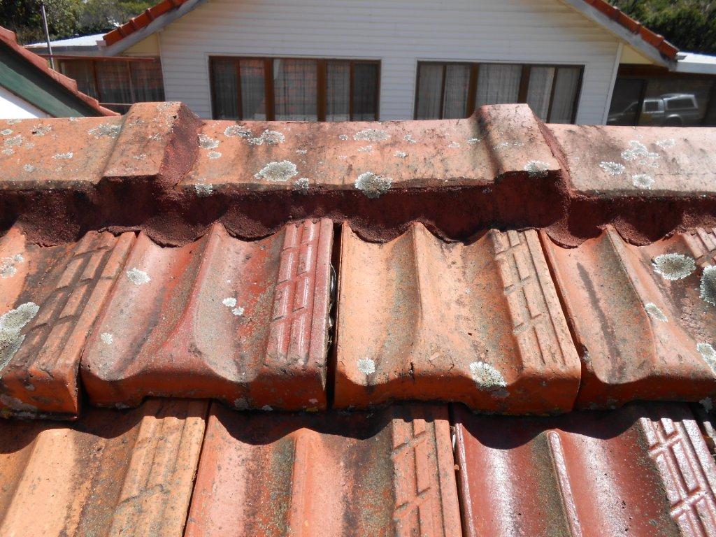 Before Terracotta Tile Roof Restoration